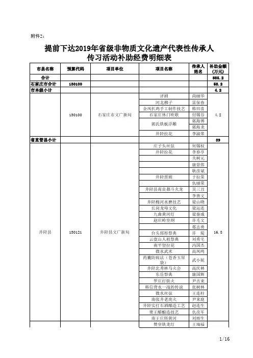 传承人经费表修改