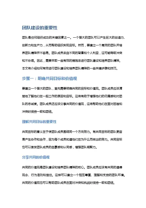 如何有效进行团队建设与培养团队精神