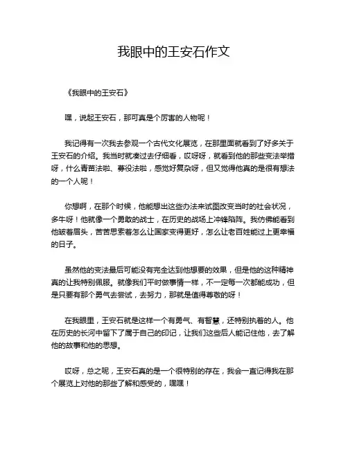 我眼中的王安石作文