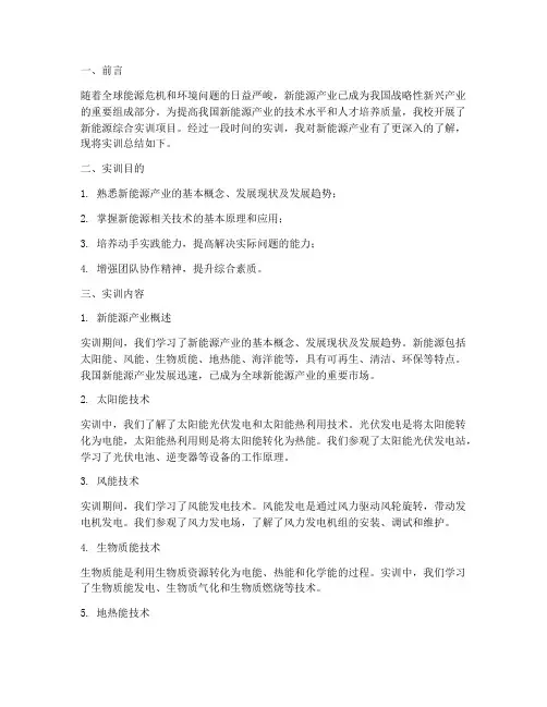 新能源综合实训总结报告