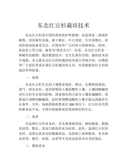 东北红豆杉栽培技术