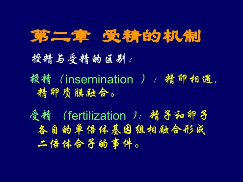 第二章受精的机制