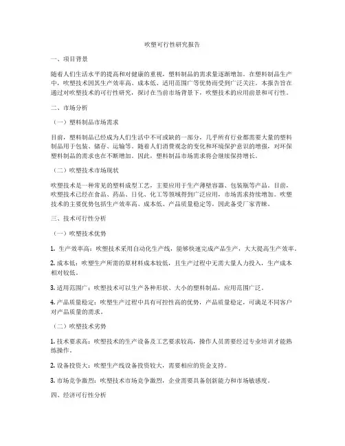 吹塑可行性研究报告