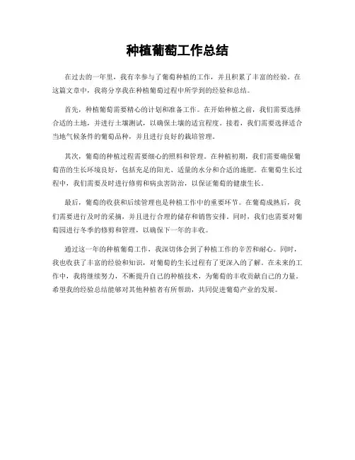 种植葡萄工作总结