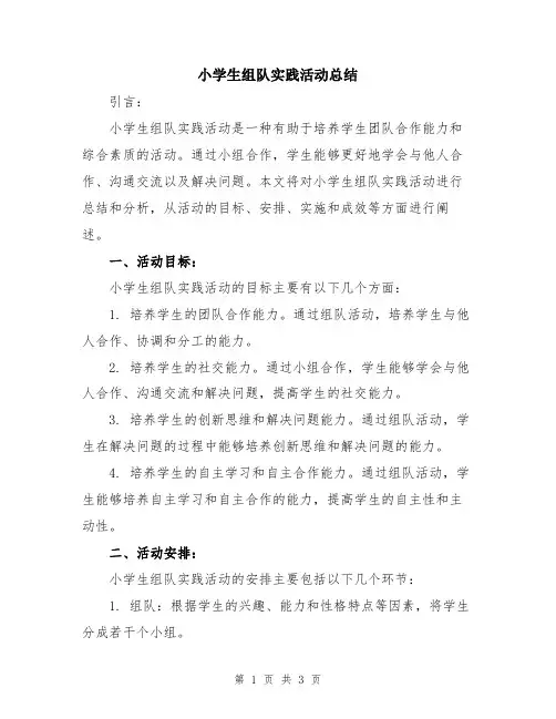小学生组队实践活动总结