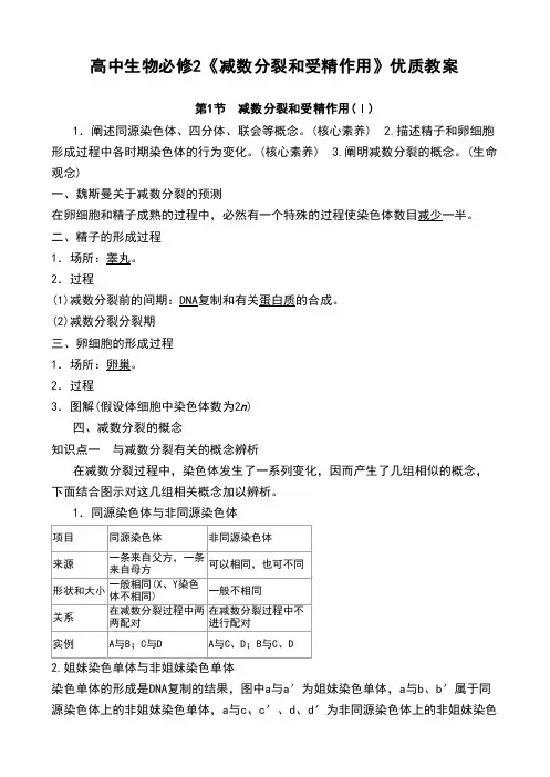 高中生物必修2《减数分裂和受精作用》优质教案
