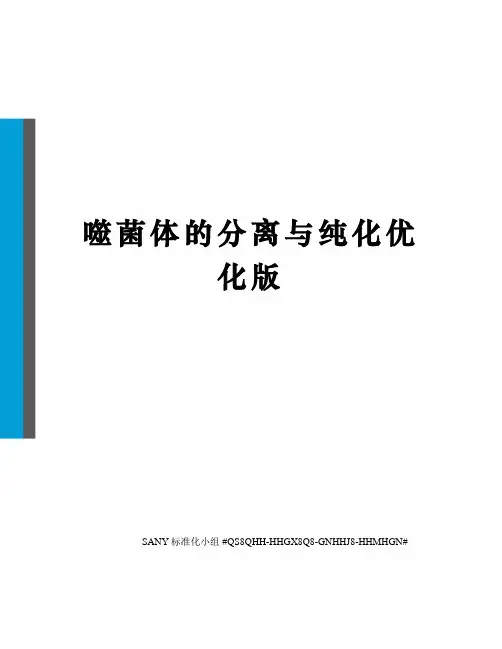 噬菌体的分离与纯化优化版