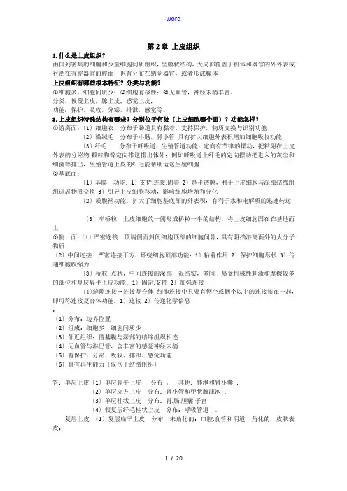 组胚简答题精华版