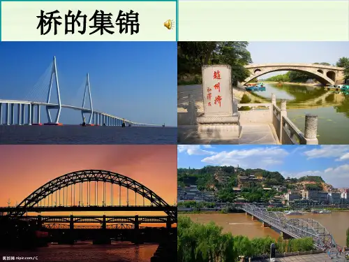 六年级上册科学-用纸造一座“桥”-教科版(共8张)-PPT课堂课件