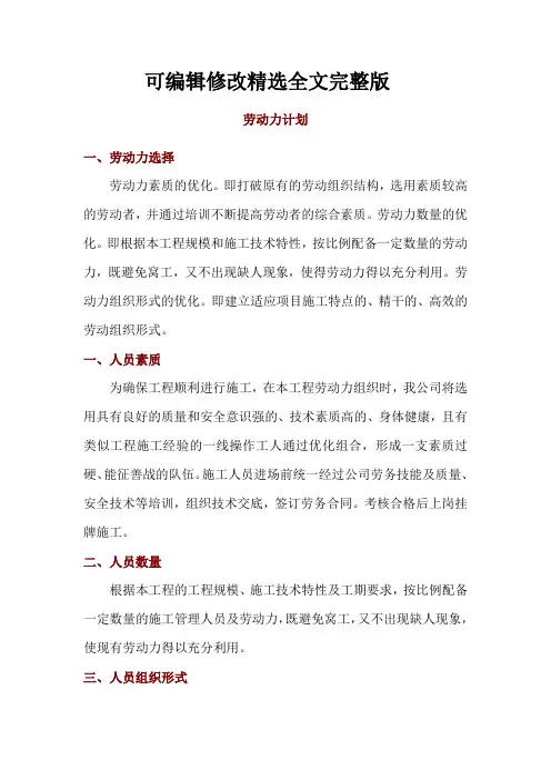 劳动力计划精选全文