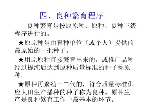良种繁育程序