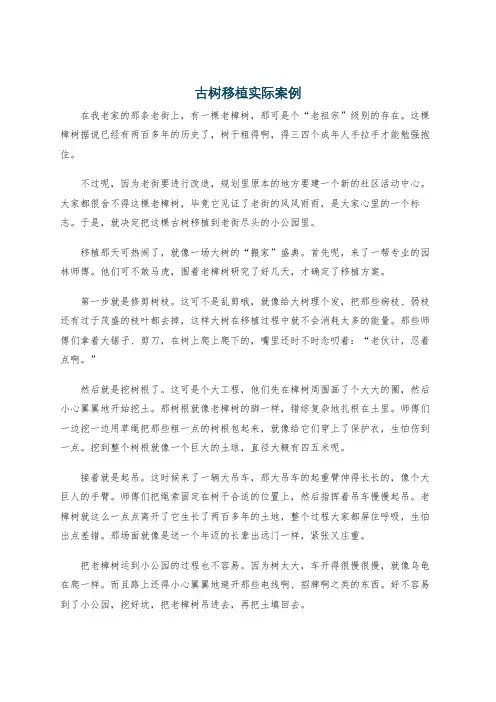 古树移植实际案例