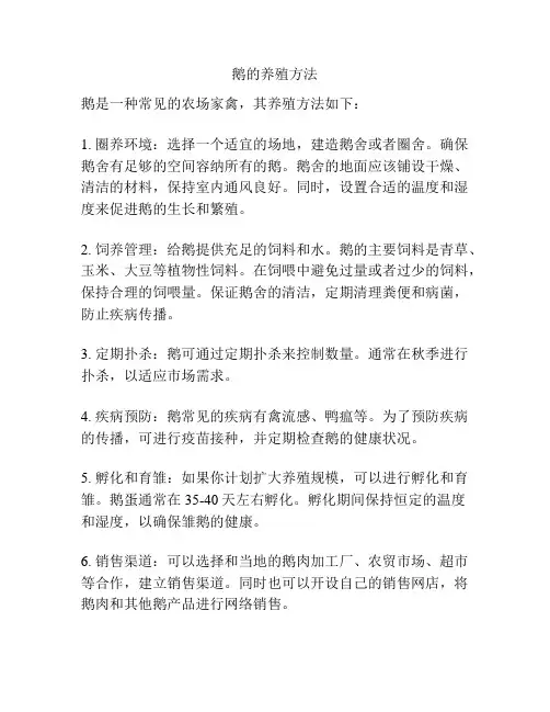 鹅的养殖方法