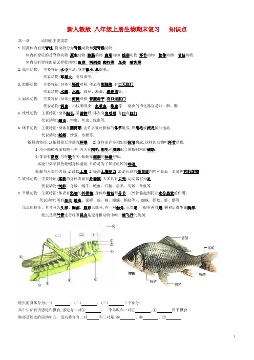 新人教版八年级上册生物 期末复习知识点