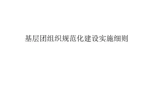 基层团组织规范化建设实施细则