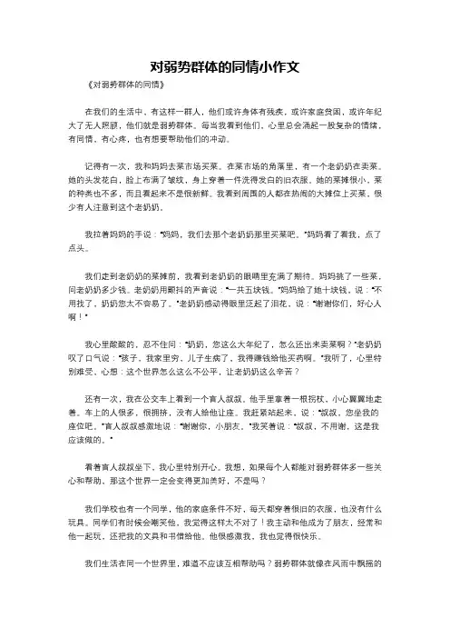 对弱势群体的同情小作文
