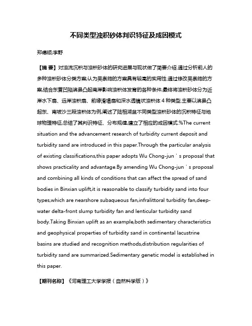 不同类型浊积砂体判识特征及成因模式