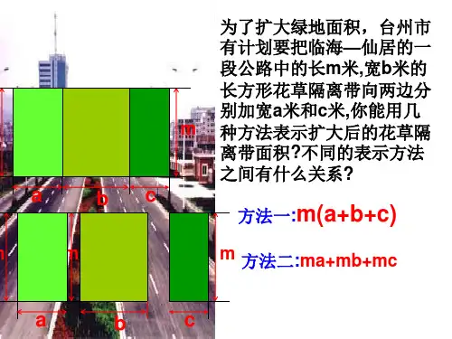 人教版七年级数学整式课件ppt