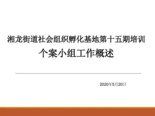 个案与小组工作