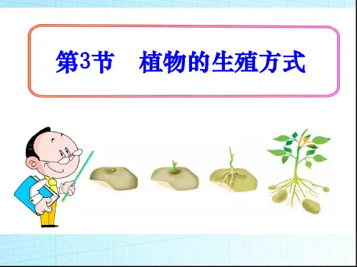 北师大版八年级生物上册植物的生殖和发育ppt课件