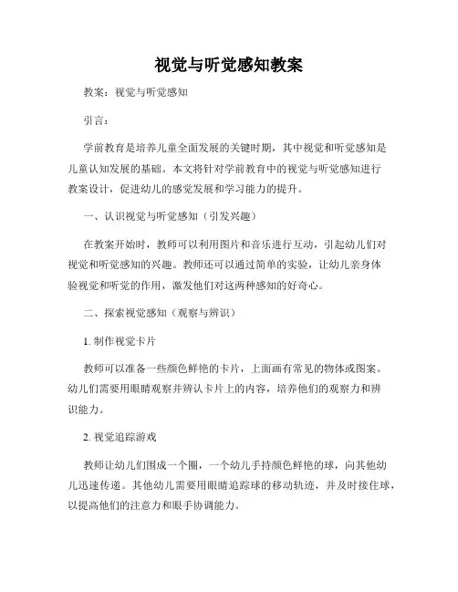 视觉与听觉感知教案