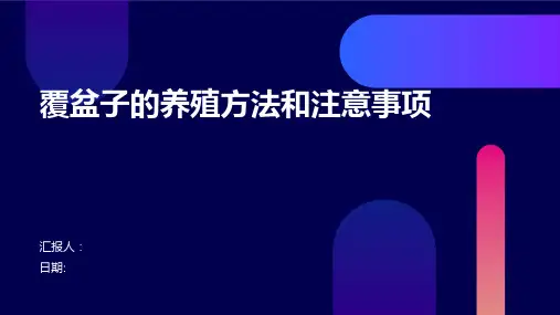 覆盆子的养殖方法和注意事项