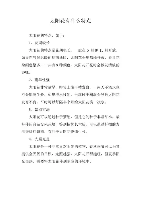 太阳花有什么特点