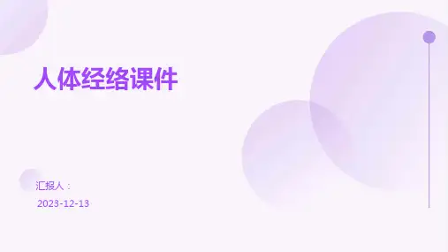 人体经络课件