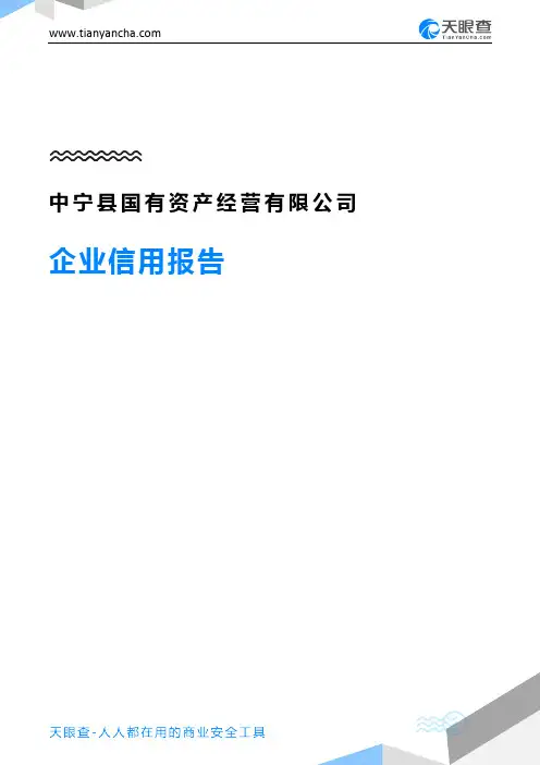 中宁县国有资产经营有限公司(企业信用报告)- 天眼查