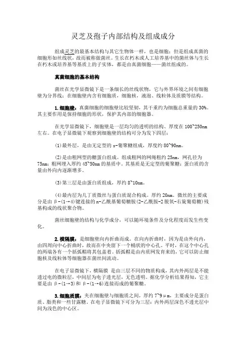 灵芝孢子结构
