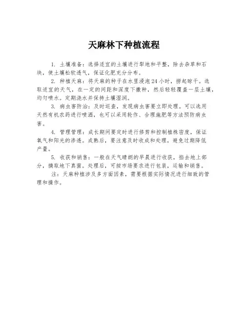 天麻林下种植流程