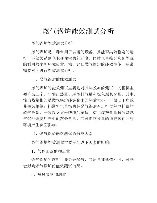 燃气锅炉能效测试分析