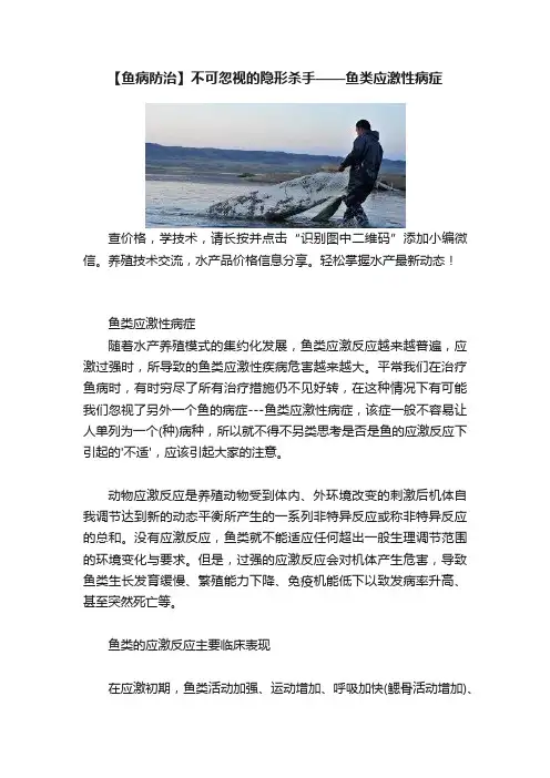 【鱼病防治】不可忽视的隐形杀手——鱼类应激性病症