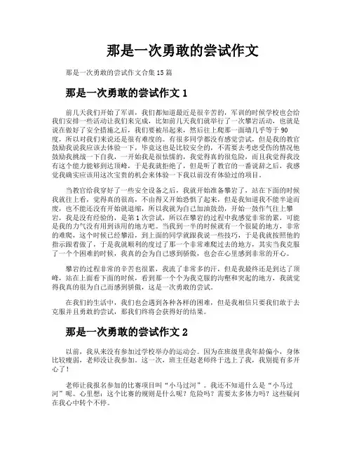 那是一次勇敢的尝试作文