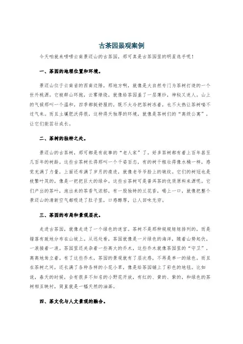 古茶园景观案例