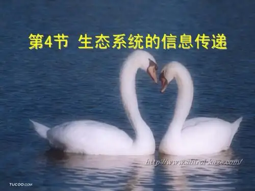 第五章第四节生态系统的信息传递