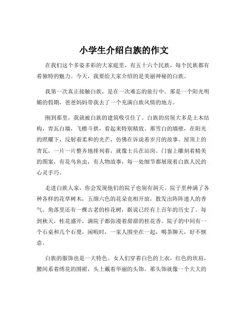 小学生介绍白族的作文