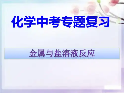 九年级化学中考专题：金属与盐溶液反应