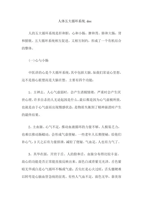 人体五大循环系统.doc
