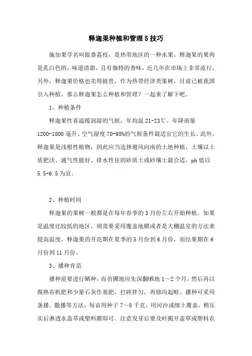 释迦果种植和管理5技巧