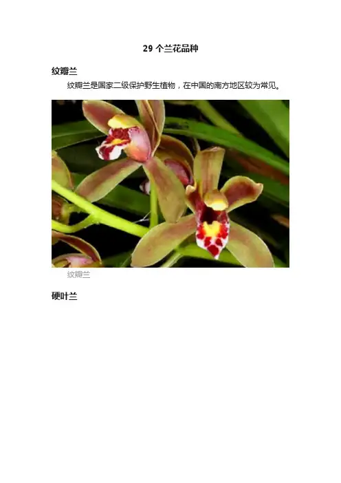 29个兰花品种