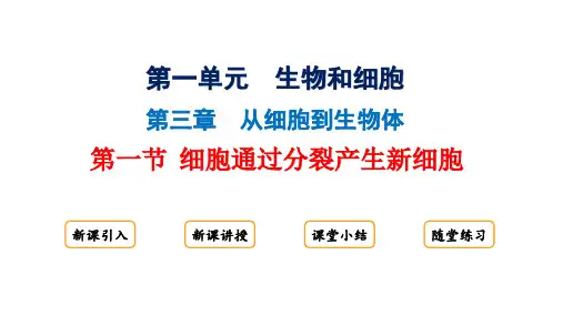 细胞通过分裂产生新细胞ppt课件