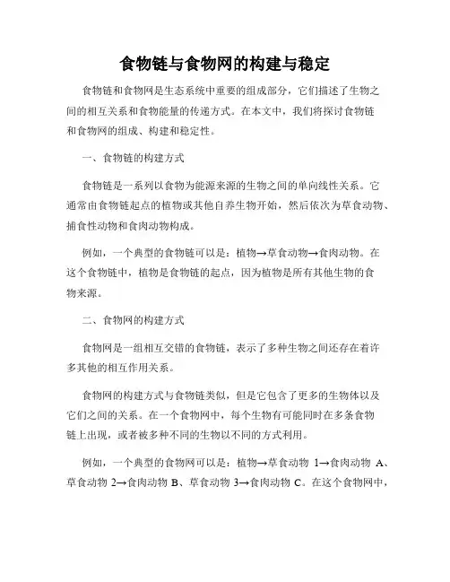 食物链与食物网的构建与稳定