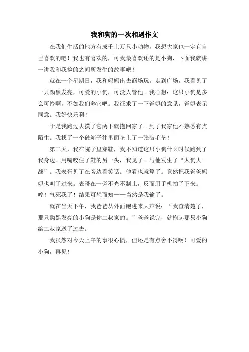 我和狗的一次相遇作文