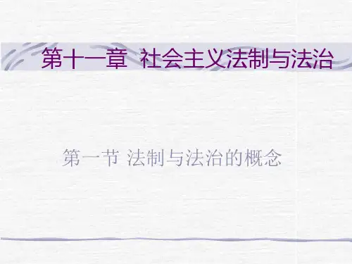 法理学第十一章社会主义法制与法治