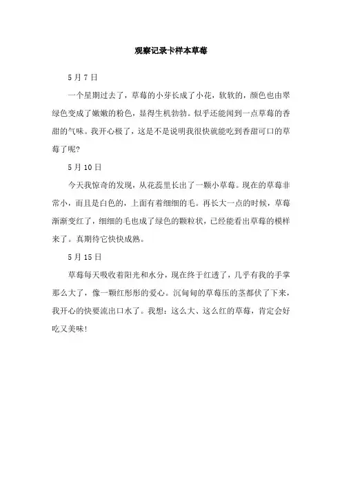 观察记录卡样本草莓