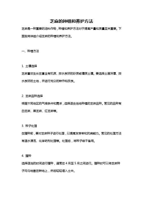 芝麻的种植和养护方法