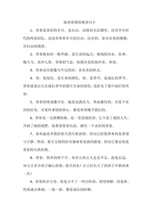 致青春简短唯美句子