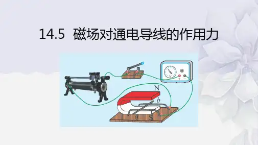 2022年北师大版《磁场对通电导线的作用力》课件(公开课)