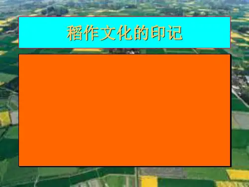 人教版七年级历史与社会上册3.《稻作文化的印记》(16张)